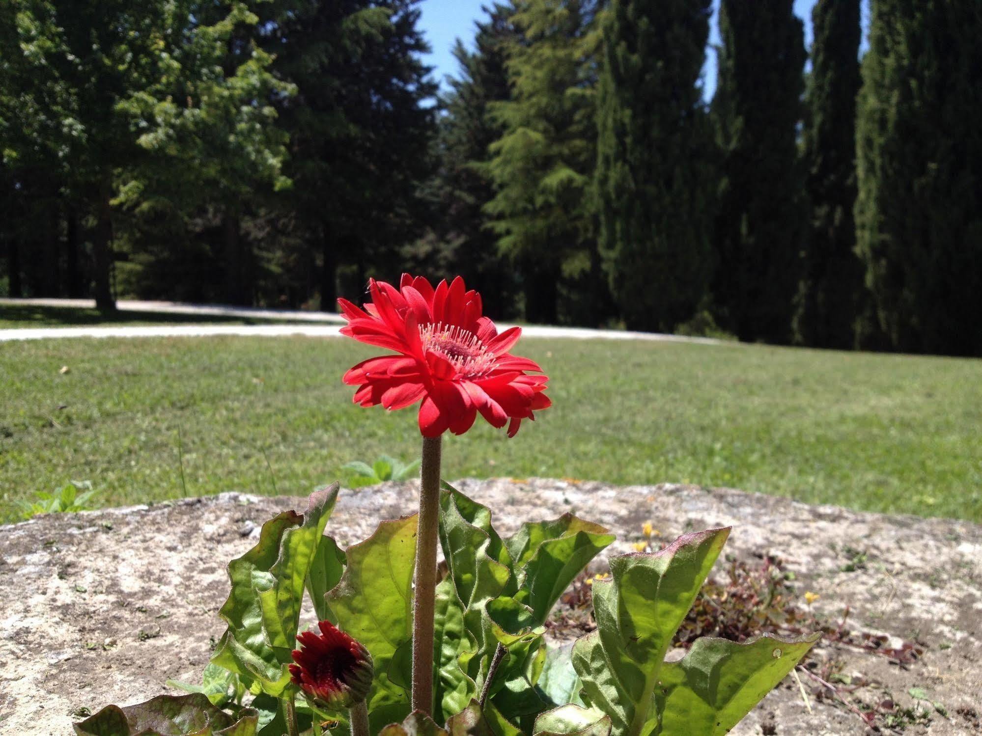 Convento Di San Francesco Mondaino Bed & Breakfast Exterior photo
